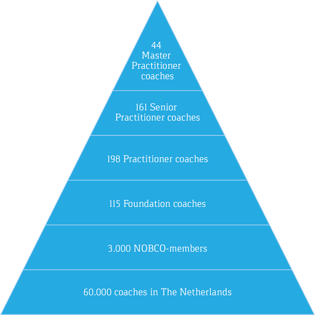 piramide-NOBCO-coaches_engels.png