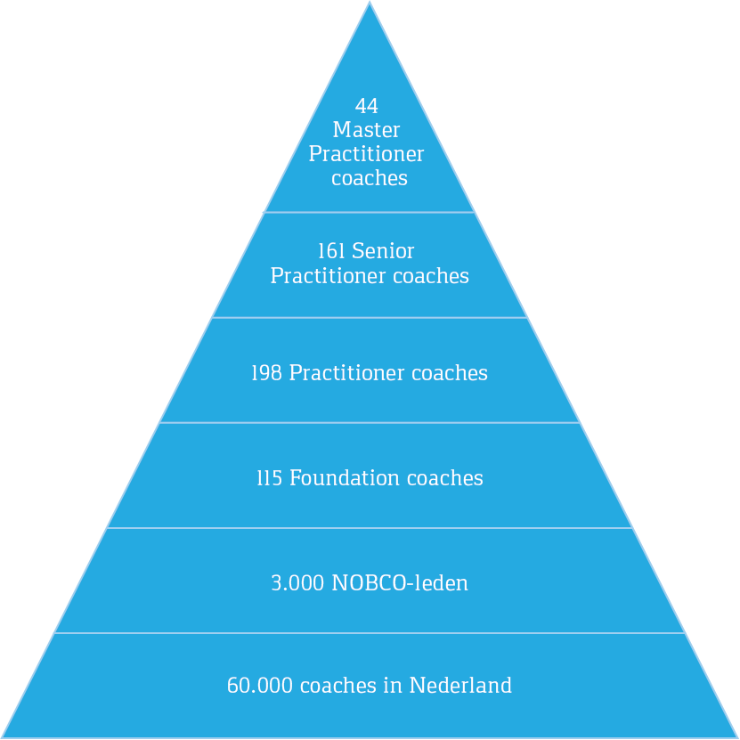 piramide NOBCO coaches.png