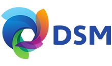 logo-DSM.jpg
